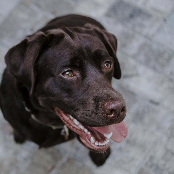 Portrait of Nova, group coordinator and fusion cooking expert